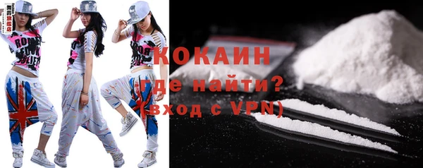 дживик Баксан