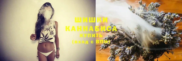 дживик Баксан