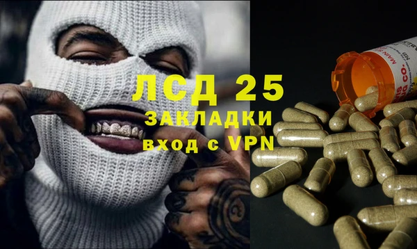 дживик Баксан