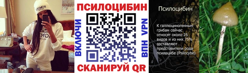 Галлюциногенные грибы GOLDEN TEACHER купить Бахчисарай