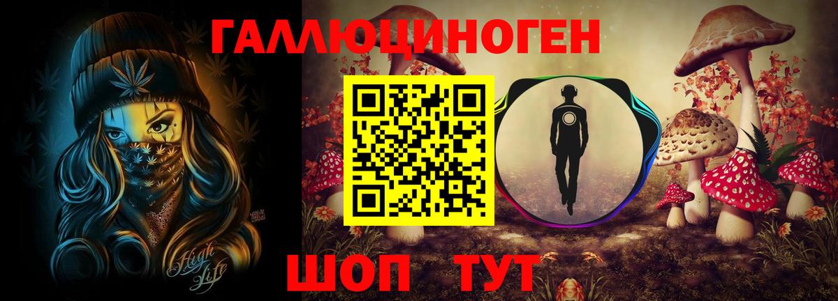 Псилоцибиновые грибы Psilocybine cubensis Бахчисарай